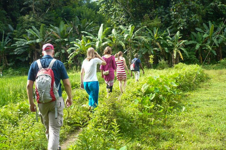 Kandy Countryside Walk - Photo 1 of 8